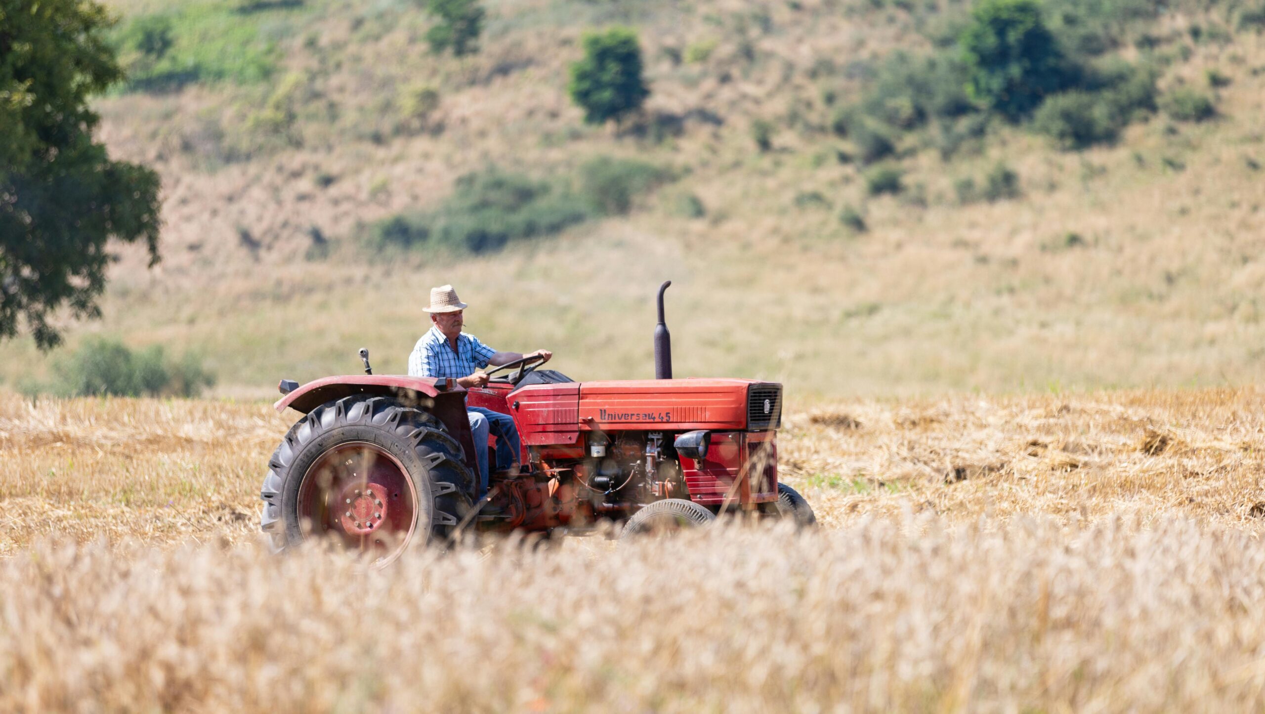 A senior man operating a tractor in a summer field in Crăciunești, Romania.